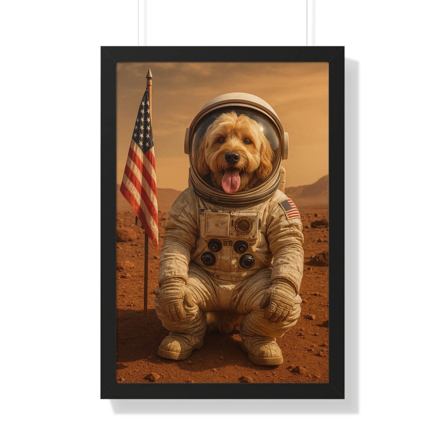 Pet-Humor Prints Mars Rover Framed Artwork